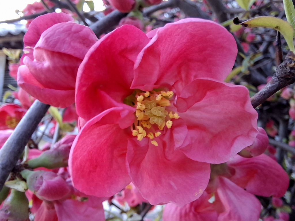 [User Guide] Galaxy A57 5G and Galaxy A37 5G: Bringing Latest Innovation Within Reach