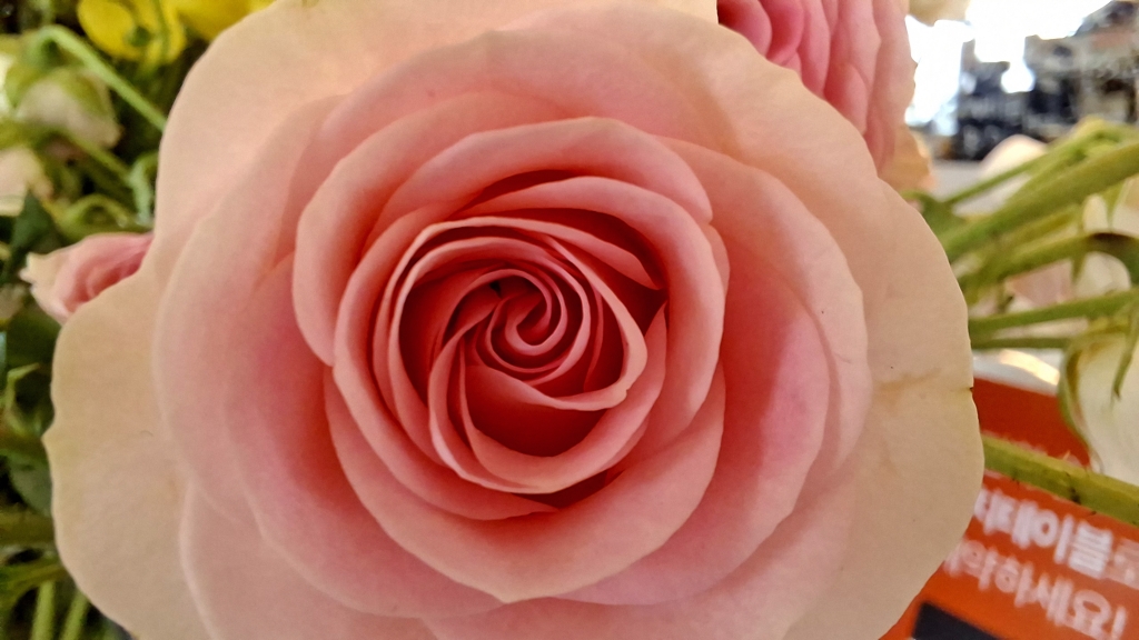 [User Guide] Galaxy A57 5G and Galaxy A37 5G: Bringing Latest Innovation Within Reach