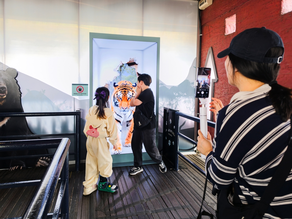 [Video] How Samsung’s Spatial Signage Transforms the Attraction Queue Into an Immersive Safari Experience at Everland