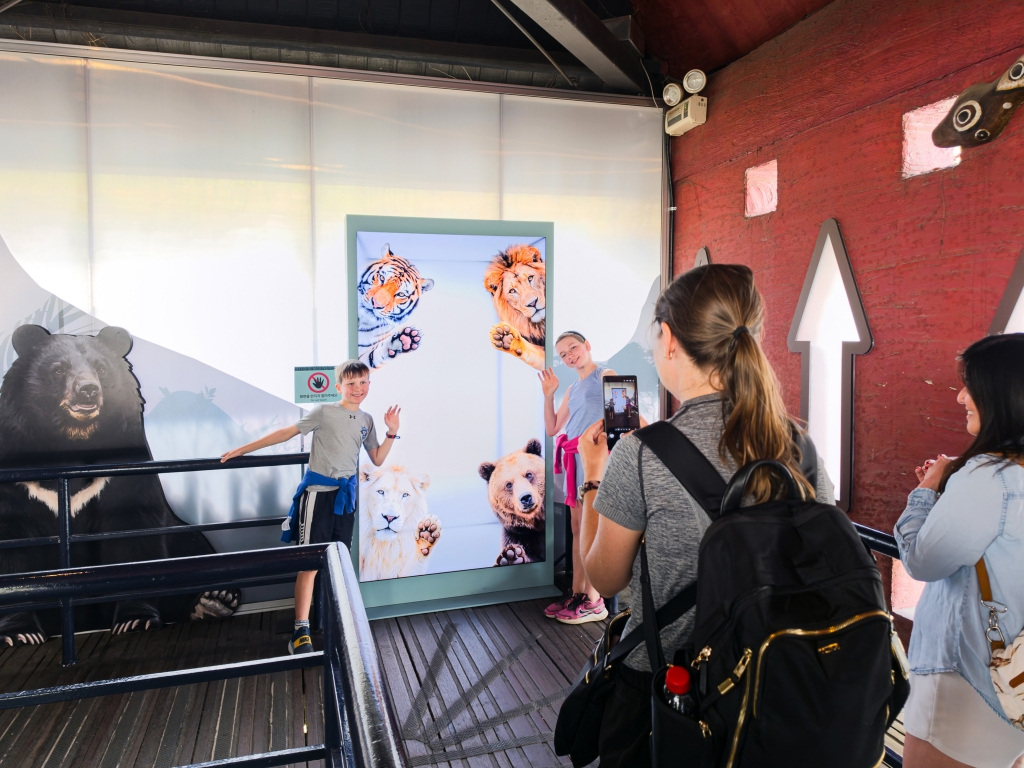 [Video] How Samsung’s Spatial Signage Transforms the Attraction Queue Into an Immersive Safari Experience at Everland