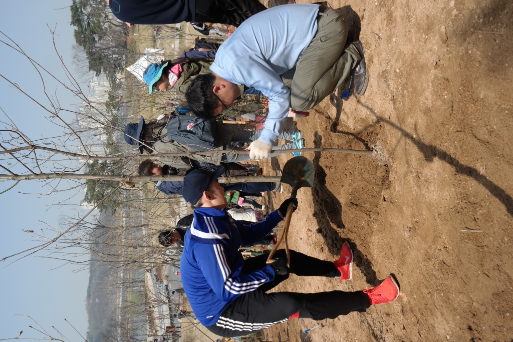 삼성전자, ‘탄소상쇄 숲 조성’ 행사 참여