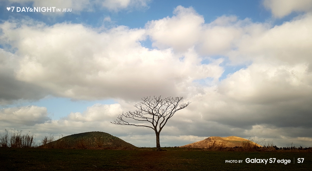 삼성전자, 갤럭시S7으로 제주도의 밤과 낮을 담은 디지털 갤러리 'Day & Night‘운영
