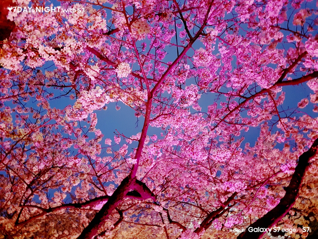 갤럭시 S7으로 기록한 사진전‘♥7 Day & Night with S7’ 시상식 개최