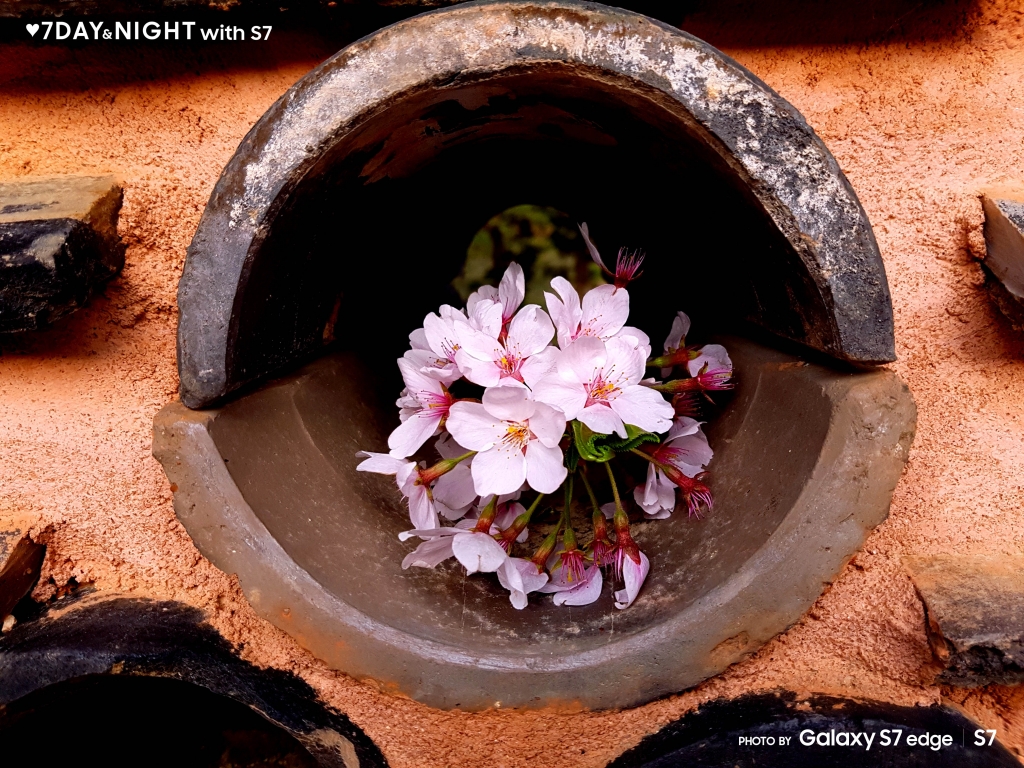 갤럭시 S7으로 기록한 사진전‘♥7 Day & Night with S7’ 시상식 개최